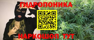 ГАЛЛЮЦИНОГЕННЫЕ ГРИБЫ Славгород