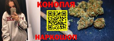 сатива Сланцы