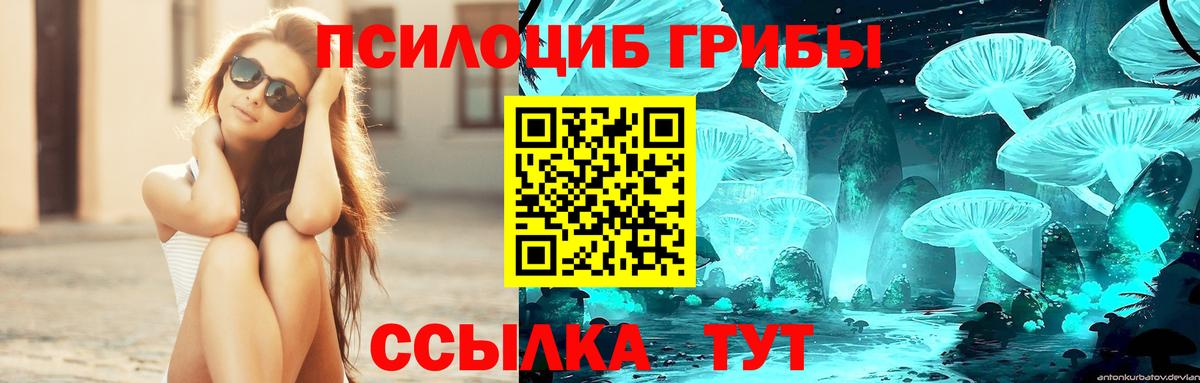 Псилоцибиновые грибы MAGIC MUSHROOMS Новочеркасск