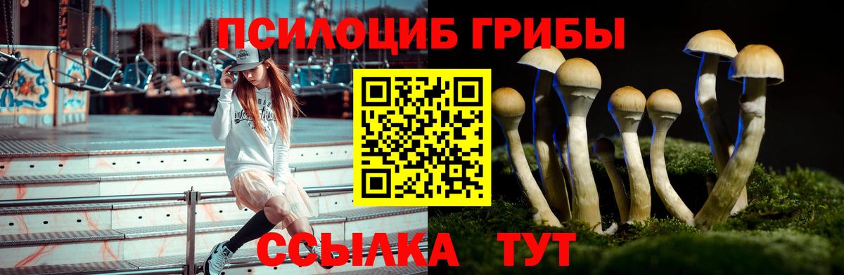 Новочеркасск  Галлюциногенные грибы Cubensis  Вход с VPN 